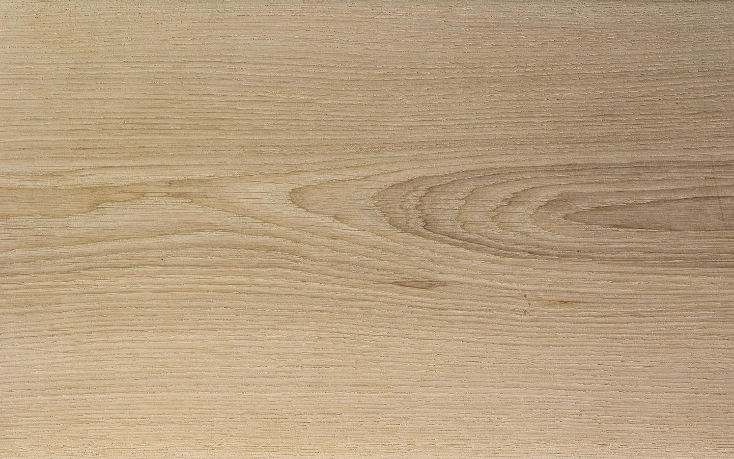 dettaglio legno olmo europeo